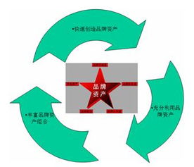 品牌戰略的本質 價值管理的核心洞察