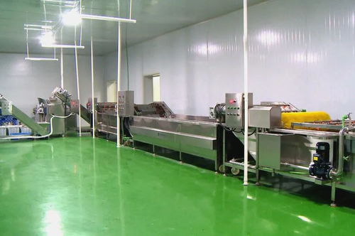 筑巢引鳳添動(dòng)力，招商引資促發(fā)展 譜寫(xiě)食用菌菌種進(jìn)出口產(chǎn)業(yè)新篇章